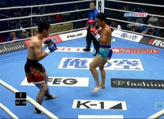 Rezultatele de la Marea Finală K-1 World Grand Prix de la Tokyo