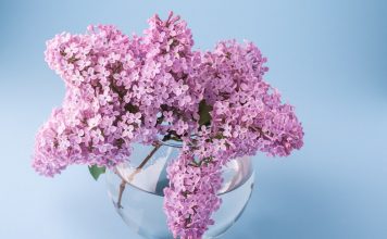 188 Mesaje De Multumire