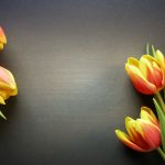 193 Mesaje De 8 Martie