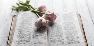 66 Citate Din Biblie Inspirationale Si Motivationale