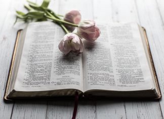 66 Citate Din Biblie Inspirationale Si Motivationale