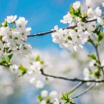 94 Mesaje De 1 Martie