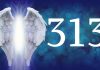 Care este semnificatia numarului 313 in numerologie?