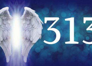 Care este semnificatia numarului 313 in numerologie?