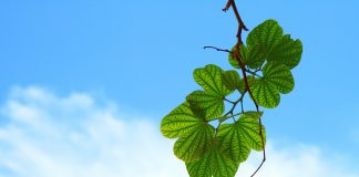 50 de citate pentru un sfarsit de saptamana minunat