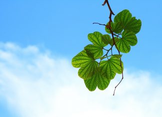 50 de citate pentru un sfarsit de saptamana minunat