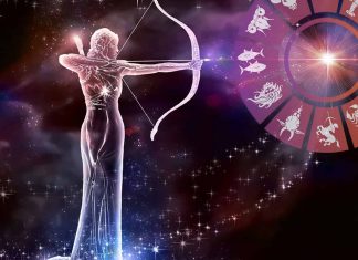 Zodia Sagetator: Familie, cariera si dragoste