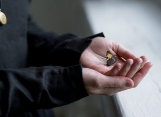 Ghidul esential pentru selectarea serviciilor funerare potrivite