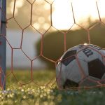 Ce tipuri de plase sportive există