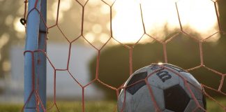 Ce tipuri de plase sportive există