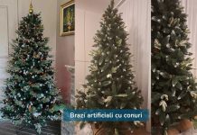 De ce conurile naturale au devenit un detaliu căutat la brazii artificiali premium