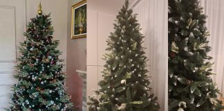 De ce conurile naturale au devenit un detaliu căutat la brazii artificiali premium