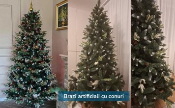 De ce conurile naturale au devenit un detaliu căutat la brazii artificiali premium